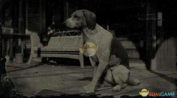 《荒野大镖客2》美国猎狐犬图鉴一览