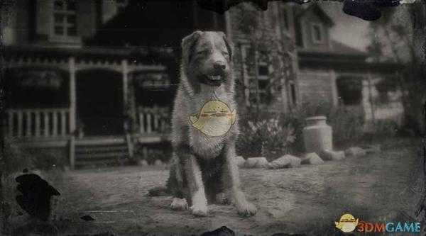 《荒野大镖客2》澳洲牧羊犬图鉴一览