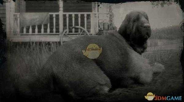 《荒野大镖客2》寻血猎犬图鉴一览