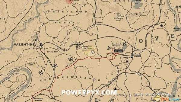 《荒野大镖客2》普通驴图鉴一览