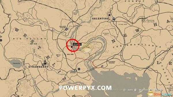 《荒野大镖客2》白头雕图鉴一览