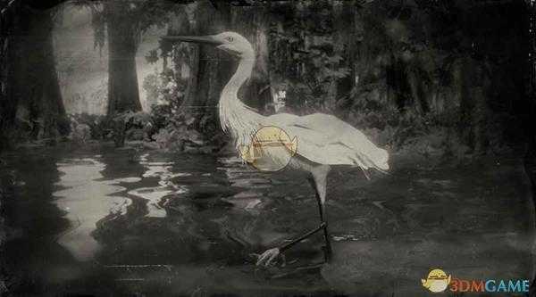 《荒野大镖客2》小白鹭图鉴一览