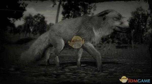 《荒野大镖客2》美国红狐图鉴一览