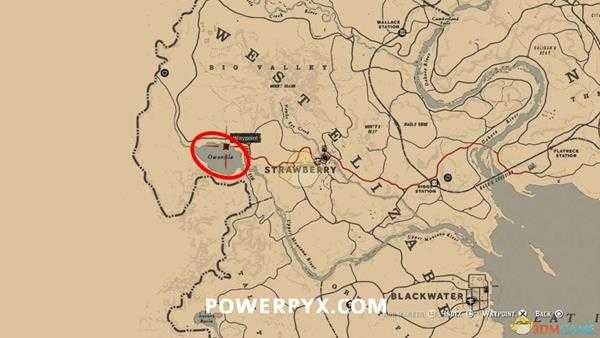 《荒野大镖客2》加拿大大雁图鉴一览