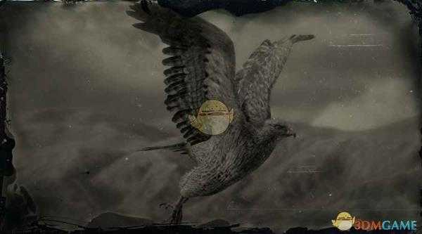 《荒野大镖客2》褐羽隼鹰图鉴一览