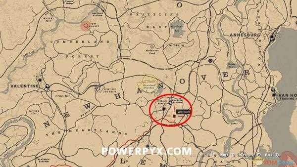 《荒野大镖客2》红尾鹰图鉴一览