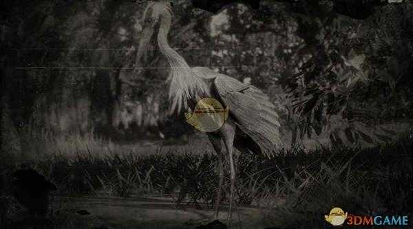 《荒野大镖客2》大蓝鹭图鉴一览