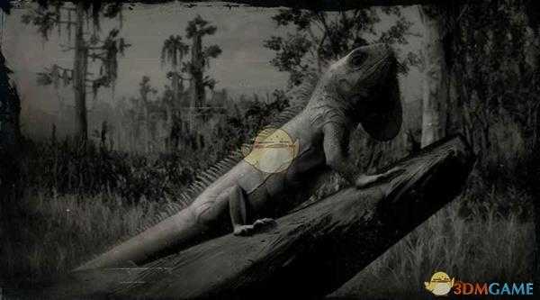 《荒野大镖客2》绿鬣蜥图鉴一览