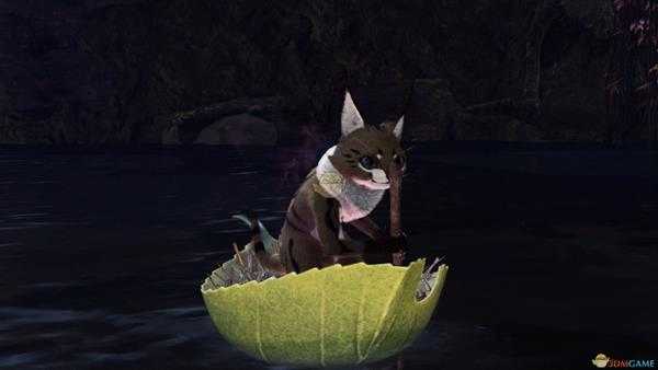 《怪物猎人：世界》森林虫笼族观察委托金牌指南