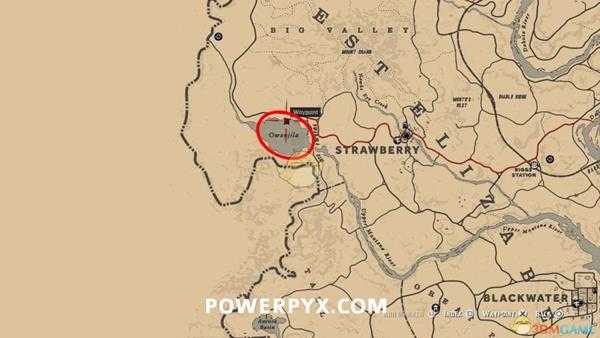 《荒野大镖客2》太平洋潜鸟图鉴一览