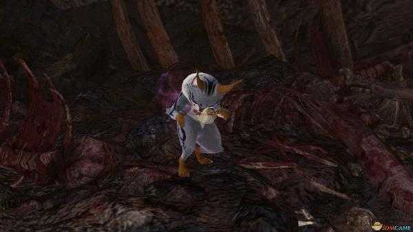 《怪物猎人：世界》山谷掠夺族观察委托金牌指南