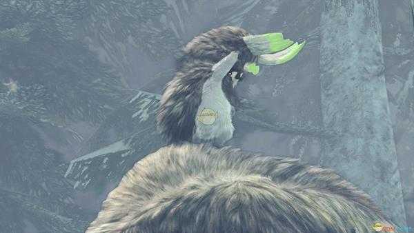 《怪物猎人：世界》兽缠族观察委托金牌指南