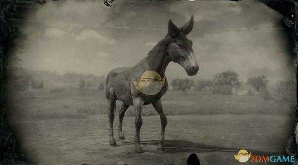 《荒野大镖客2》骡子图鉴一览