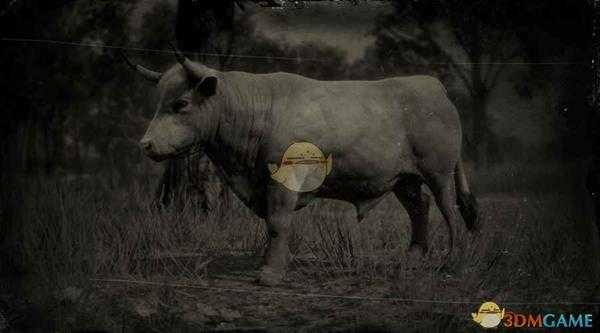 《荒野大镖客2》德文阉牛图鉴一览