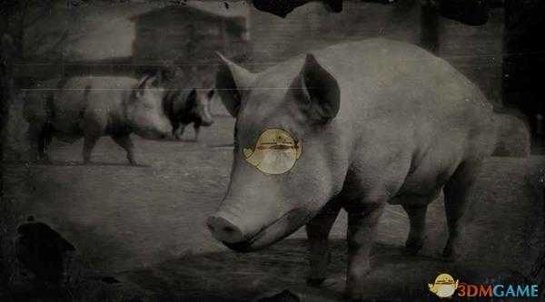 《荒野大镖客2》巴克夏猪图鉴一览