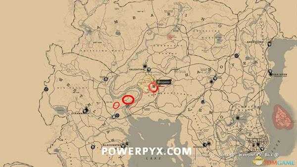 《荒野大镖客2》加州鹌鹑图鉴一览