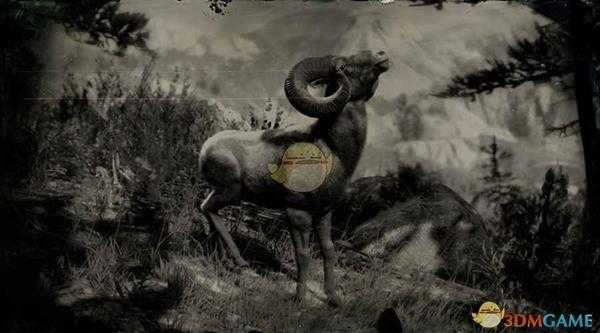 《荒野大镖客2》落基山脉公盘羊图鉴一览