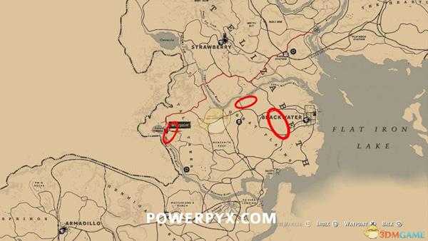 《荒野大镖客2》北美西部渡鸦图鉴一览