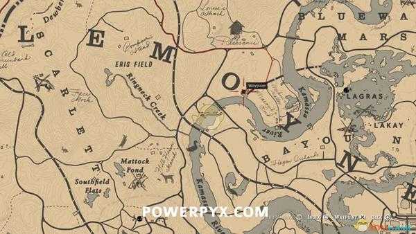 《荒野大镖客2》玫瑰琵鹭图鉴一览