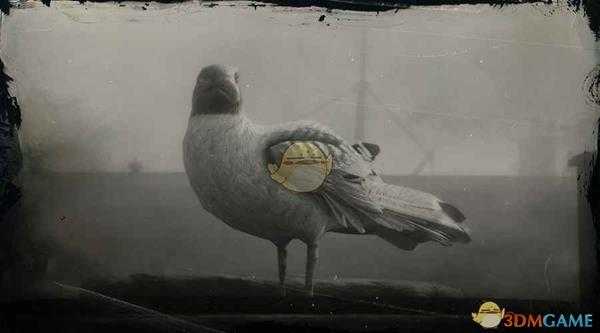 《荒野大镖客2》笑鸥图鉴一览