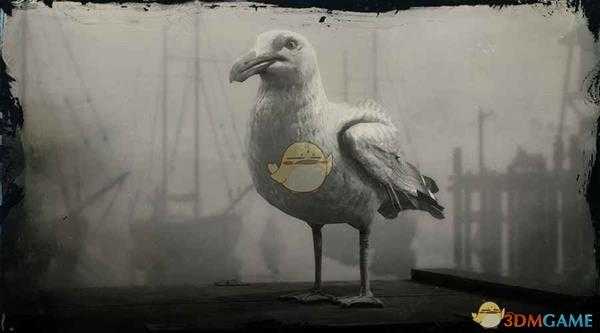 《荒野大镖客2》环嘴鸥图鉴一览