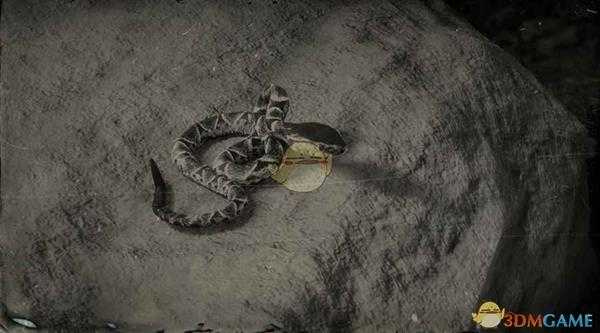 《荒野大镖客2》粗鳞矛头蝮蛇图鉴一览