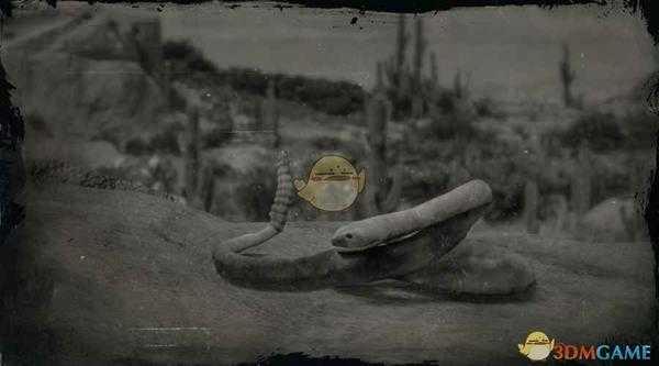 《荒野大镖客2》黑尾响尾蛇图鉴一览