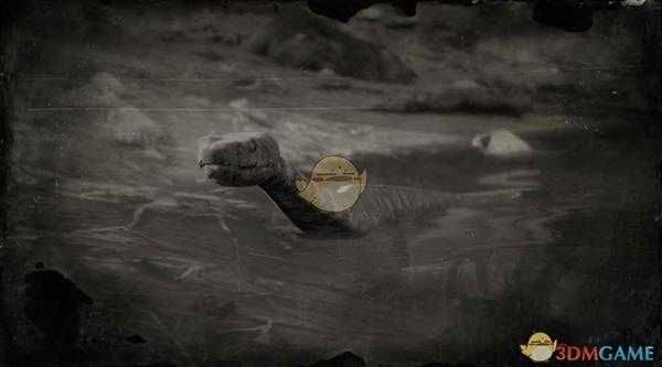 《荒野大镖客2》棉口蛇图鉴一览