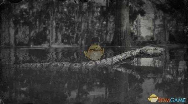 《荒野大镖客2》北部水蛇图鉴一览