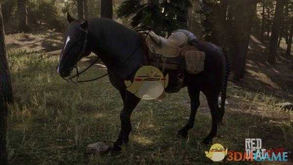 《荒野大镖客2》深骝色毛色安达卢西亚马属性一览