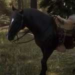 《荒野大镖客2》深骝色毛色安达卢西亚马属性一览