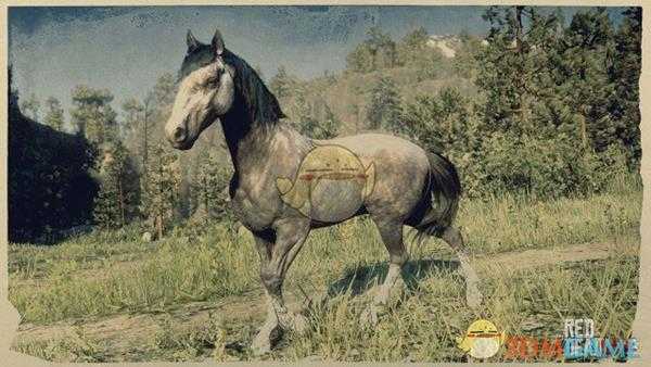 《荒野大镖客2》玫瑰灰毛色安达卢西亚马属性一览