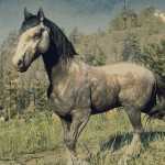 《荒野大镖客2》玫瑰灰毛色安达卢西亚马属性一览