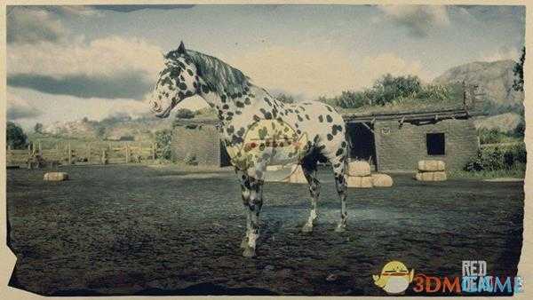 《荒野大镖客2》豹斑毛色阿帕卢萨马属性一览