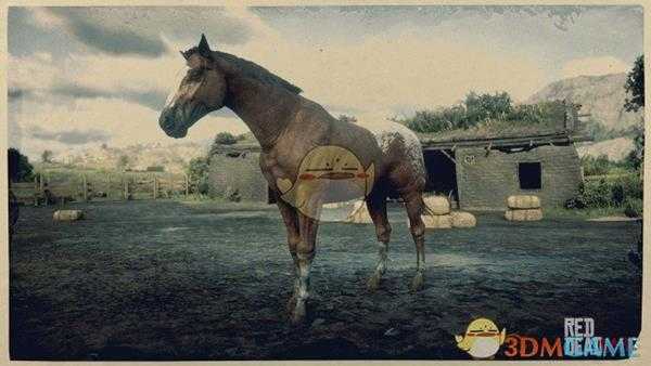 《荒野大镖客2》毯斑毛色阿帕卢萨马属性一览