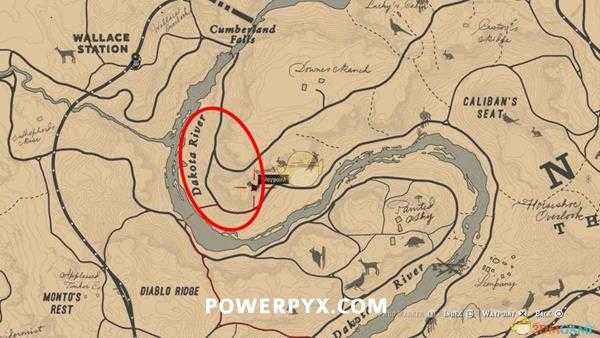 《荒野大镖客2》美国西部灰松鼠图鉴一览