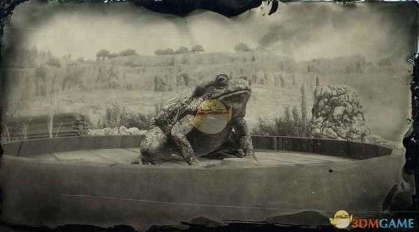 《荒野大镖客2》索诺拉沙漠蟾蜍图鉴一览