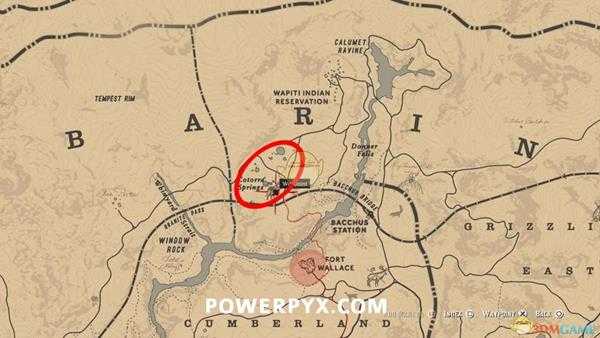 《荒野大镖客2》森林狼图鉴一览