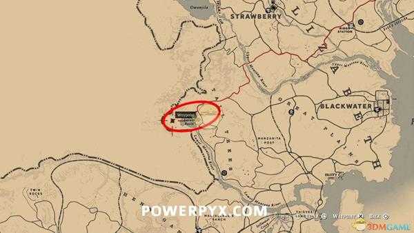 《荒野大镖客2》北美黑啄木鸟图鉴一览