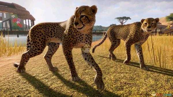 《动物园之星》放生动物获得绿叶机制介绍