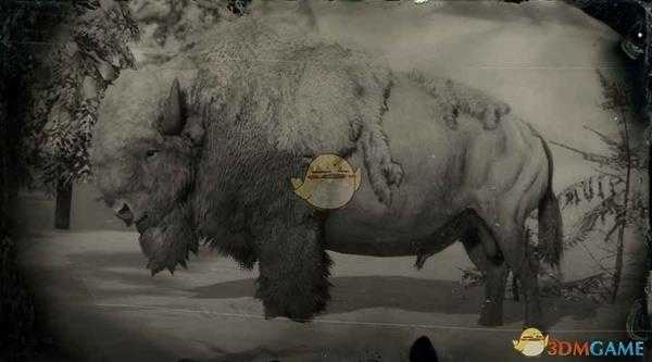 《荒野大镖客2》传说白野牛图鉴一览