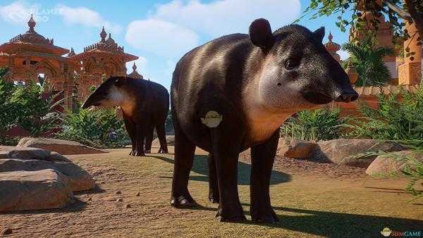 《动物园之星》大型建筑建设方法分享