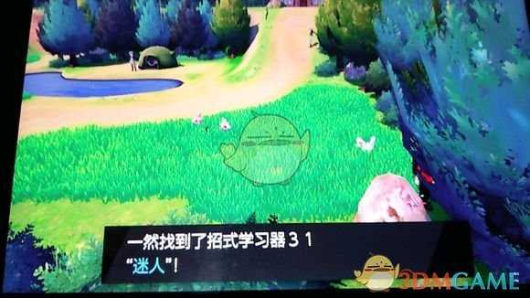 《宝可梦：剑/盾》招式学习器31迷人位置分享