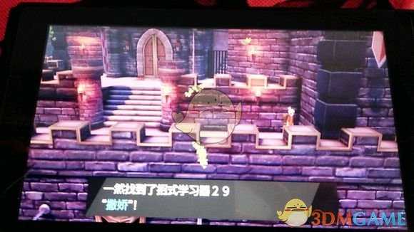 《宝可梦：剑/盾》招式学习器29撒娇位置分享