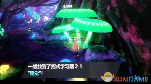 《宝可梦：剑/盾》招式学习器21睡觉位置分享