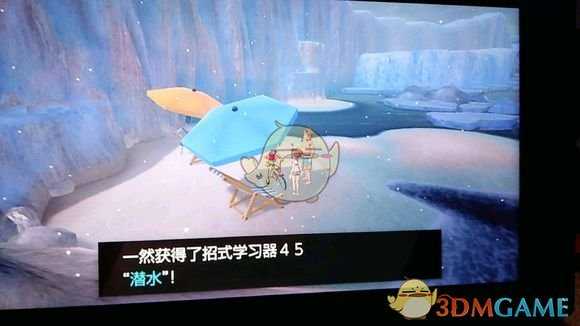 《宝可梦：剑/盾》招式学习器45潜水位置分享