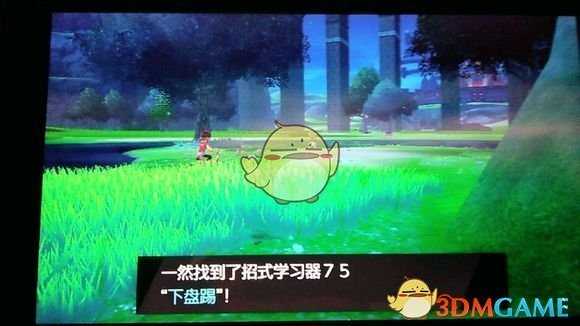 《宝可梦：剑/盾》招式学习器75下盘踢位置分享