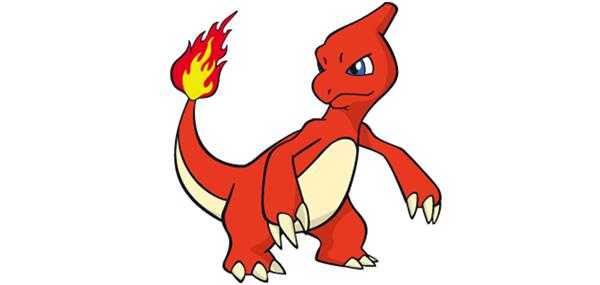 《宝可梦：剑/盾》火恐龙图鉴