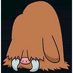 《宝可梦：剑/盾》长毛猪图鉴