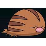 《宝可梦：剑/盾》小山猪图鉴